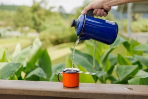 Chás dão sabor a preparações diversas e também podem ser usados como temperos